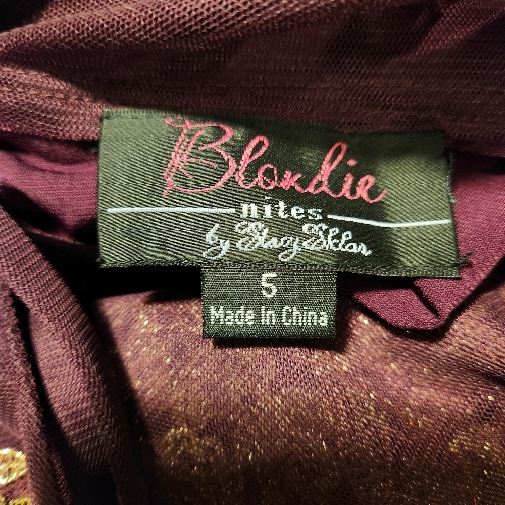 Blondie Nites By Stacy Sklar Corded Lace Filigree Ilusion Bodice Sheath Gown - Picture 14 of 15